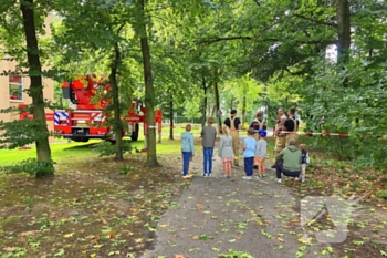 natuur paddenlaantje ede