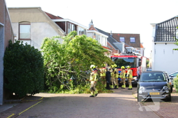 natuur offemweg noordwijk