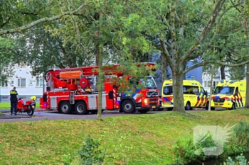 nieuws hengelolaan den haag