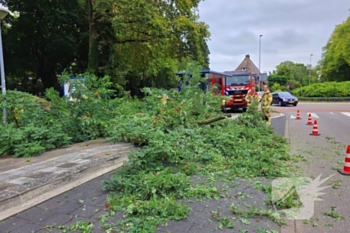 natuur vossenweg bennekom
