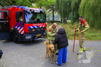 nieuws graafschap hornelaan weert