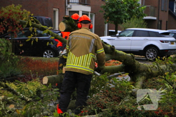 natuur mussenberg weert
