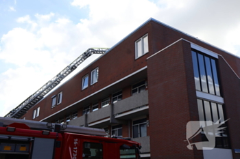 natuur zeeweg katwijk