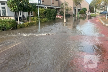 nieuws de lente zevenhuizen