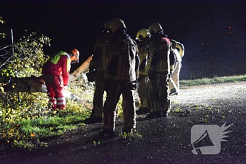 natuur tiphoeksweg rouveen