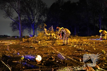 natuur de hout - n506 l 28,8 westwoud