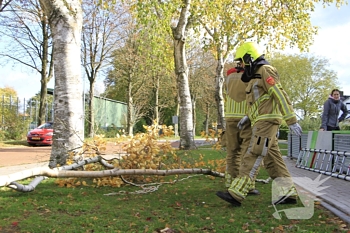 natuur julianalaan weert