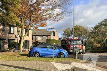 nieuws ypelaar veghel