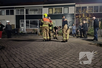 milieu reigerplein spijkenisse