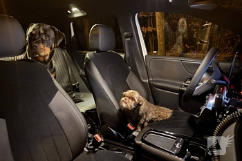 ongeval ripseweg elsendorp