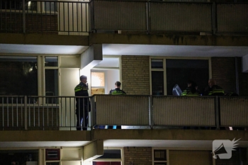 nieuws dadeltuin rotterdam