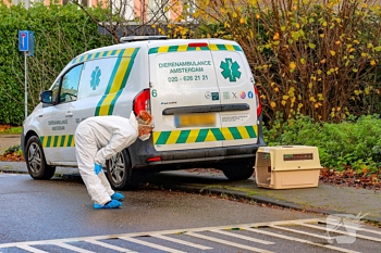 nieuws tuimelaarstraat amsterdam