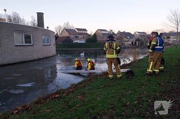 natuur nicolaas beetsstraat alblasserdam