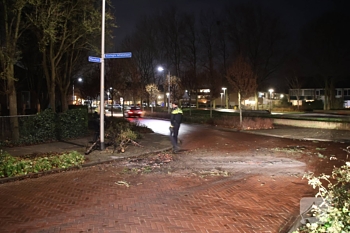 brand margrietlaan rijnsburg