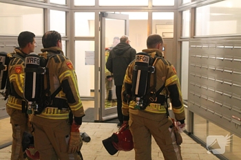 brand undefined lelystad