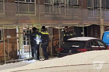 nieuws leliënstein rotterdam