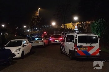 steekincident esdoornlaan rozenburg