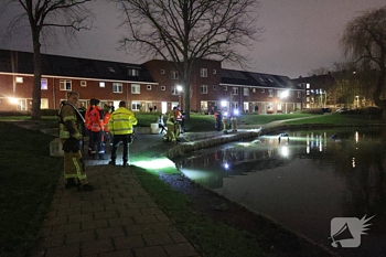 nieuws dieselstraat schiedam