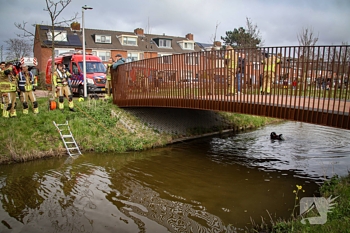 nieuws duinzicht valkenburg