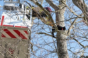 nieuws carry van bruggenhof laren