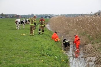 nieuws lindeweg zwijndrecht
