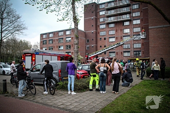 brand de lus zwijndrecht