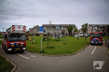 nieuws ronnie biermanpad leiden