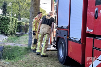 nieuws pastoor van schijndelstraat erp