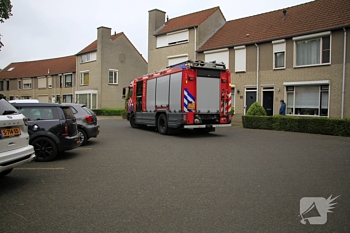 milieu kokmeeuw weert