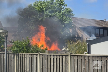 brand punter 48 lelystad