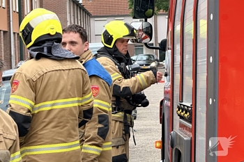 nieuws rozenstraat schijndel