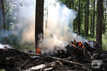 brand dokkumer trekwei jelsum
