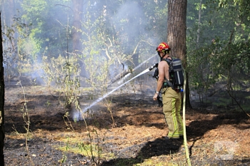 brand kuikensvendijk budel