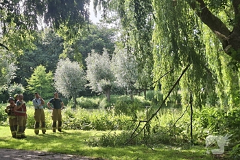 natuur beversweer sliedrecht