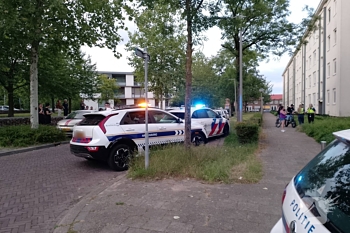nieuws maaslaan arnhem