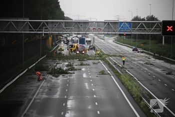 natuur rijksweg a15 l 79,5 papendrecht