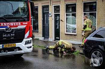 milieu zuidendijk dordrecht