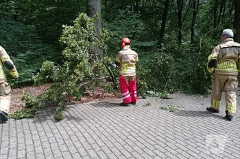 natuur kluizenaarsweg rozendaal