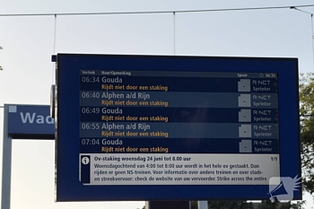 nieuws wingerd waddinxveen